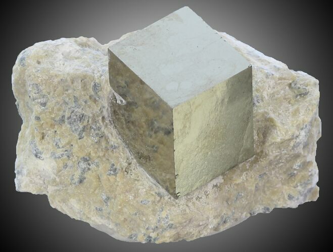 Pyrite Cube on Matrix - Navajun, Spain #30965